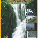portada-Remedios