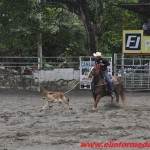campeonato de Rodeo campeonato de Rodeo