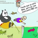saltos locosweb