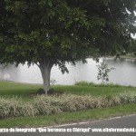 DSCF3060