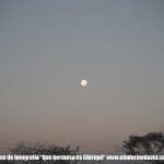 DSCF4401