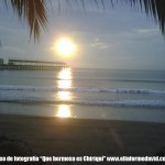 IMG00466-20110301-0706