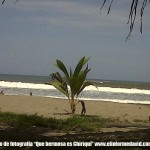 IMG00742-20110612-1027