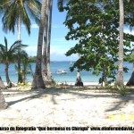 Isla Paridas Chiriquí