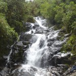 anai
