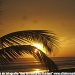 IMG_0244 IMG_0244