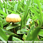 IMG_0938 IMG_0938