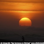 IMG_1358 IMG_1358