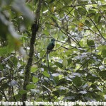 IMG_3493 (1) IMG_3493 (1)