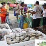 Pescadores venden su producto en puestos improvisados, situación que se corregira con el nuevo mercado del marisco