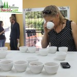 Uno de los jueces nacionales examina las bondades del café, para conocer la cantidad de puntos que merece 2