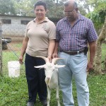 Los Salinas con Pascualito, padrote de las cabras