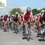 Pelotón promáster durante la tercera fecha de carreras del año web