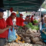 productores primarios productores primarios