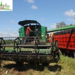 Una csechadora deposita el grano en una tractomula web... Una csechadora deposita el grano en una tractomula web...