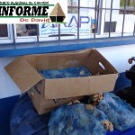 unas 112 libras del caracol se decomisaron en un restaurante de Bugaba. unas 112 libras del caracol se decomisaron en un restaurante de Bugaba.