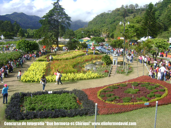 Feria de las Flores y el Café