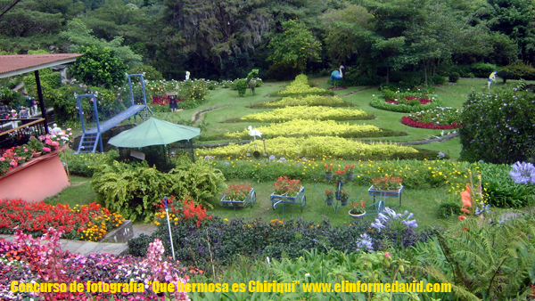 Hermoso y llamativo sitio turístico "Mi Jardín es su Jardín"