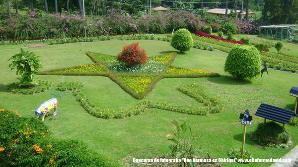 Mi Jardín es su Jardín, Boquete